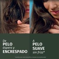 Champú Control Frizz Lavanda 350ml-227379 Champú Control Frizz Lavanda 350ml-227379 2